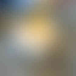 Park City Wine Festival