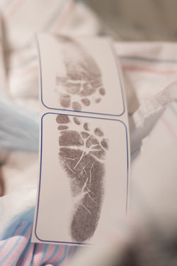 01-26-16--Miller Birth-2165