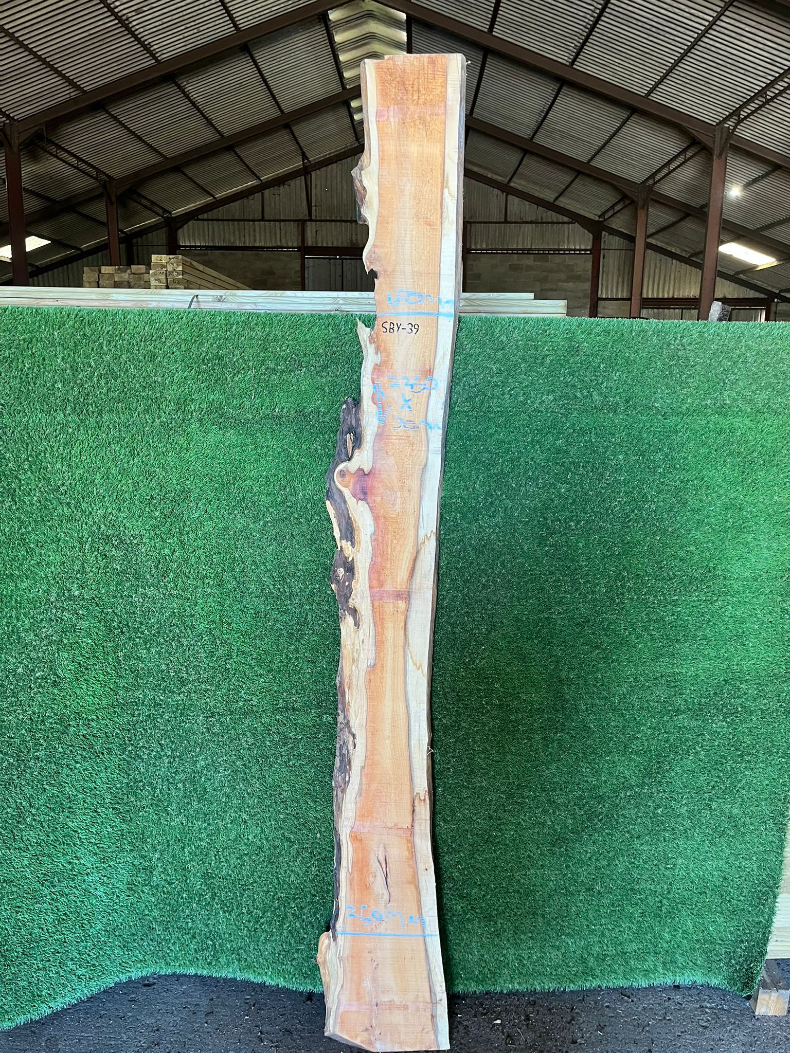 Live Edge Yew Slab - #SBY39