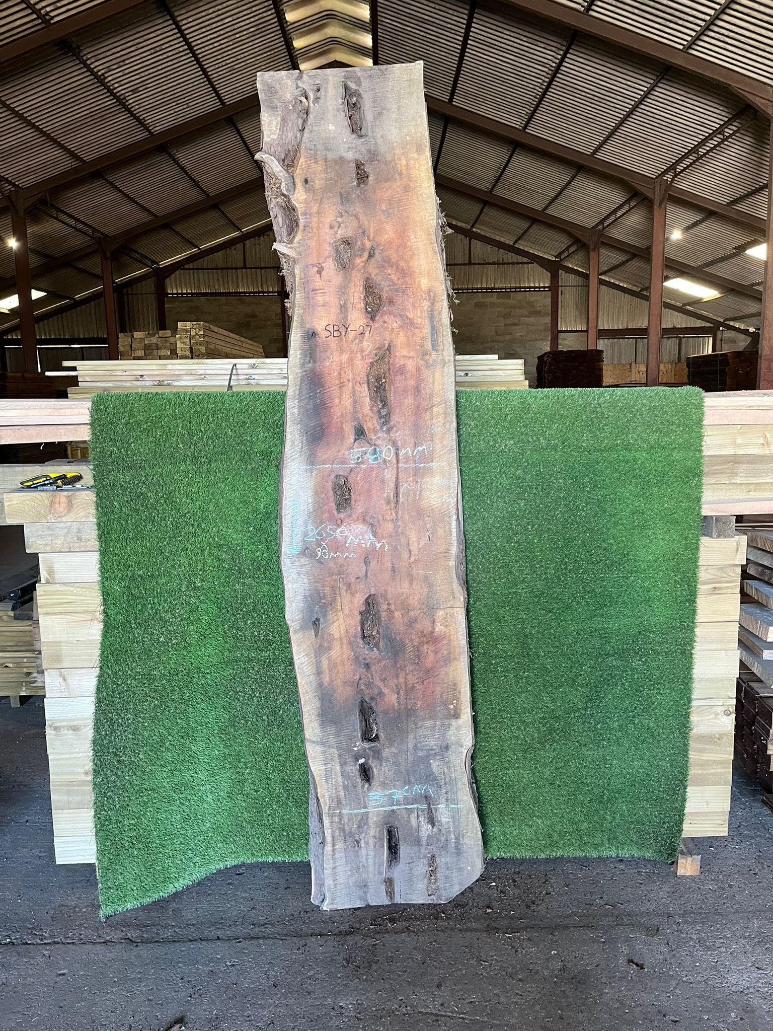 Live Edge Yew Slab - #SBY27