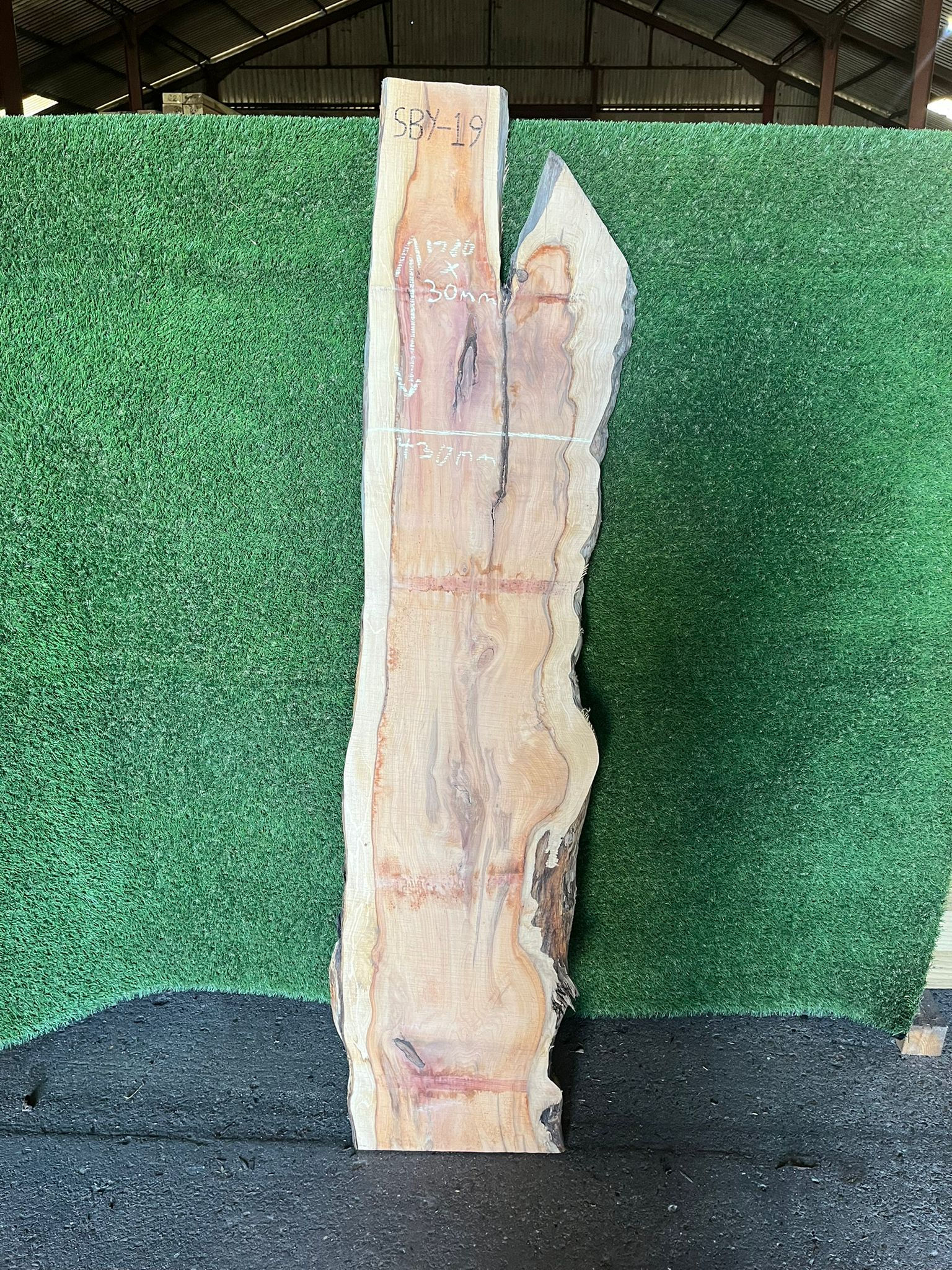 Live Edge Yew Slab - #SBY19