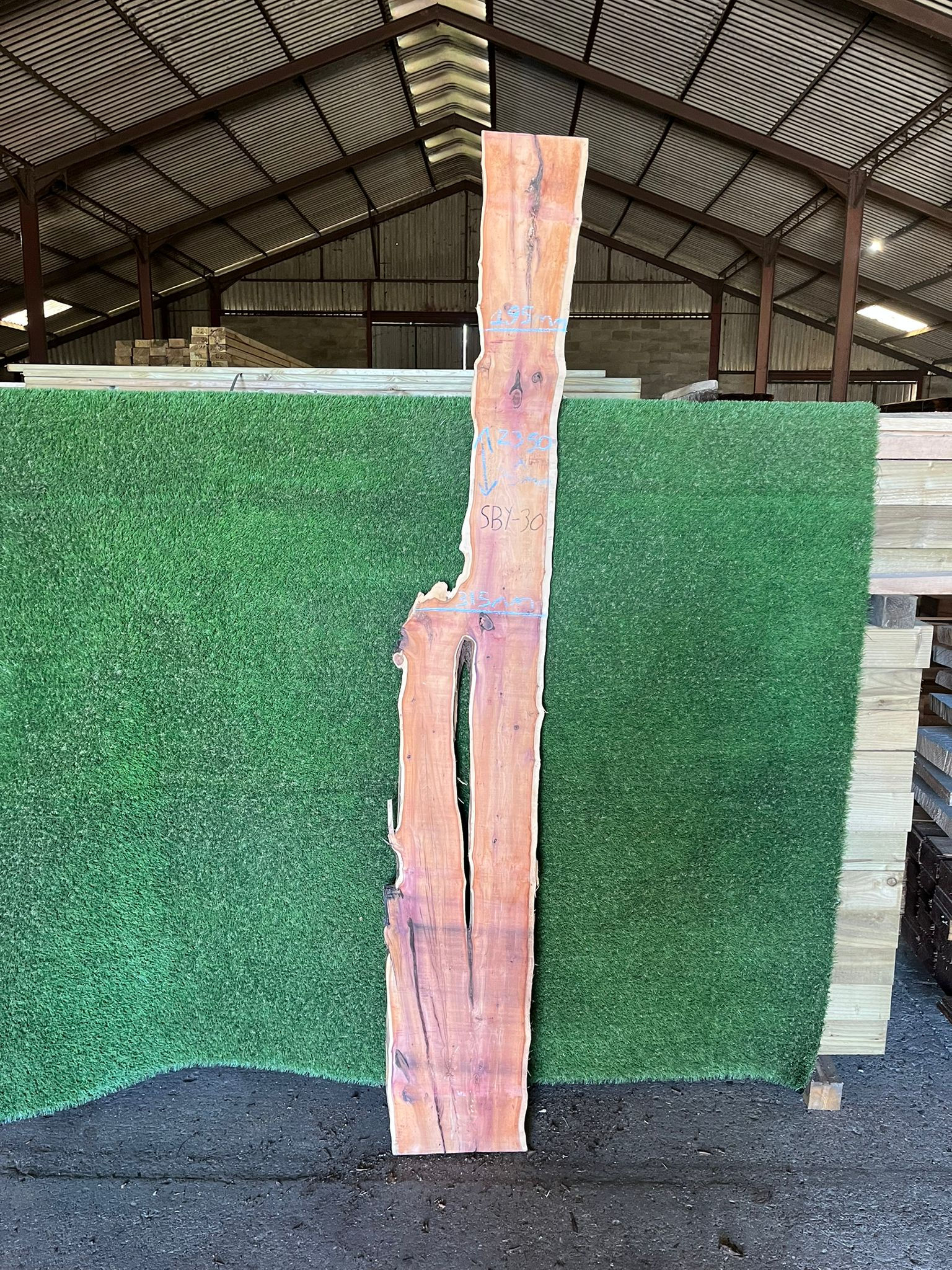 Live Edge Yew Slab - #SBY30