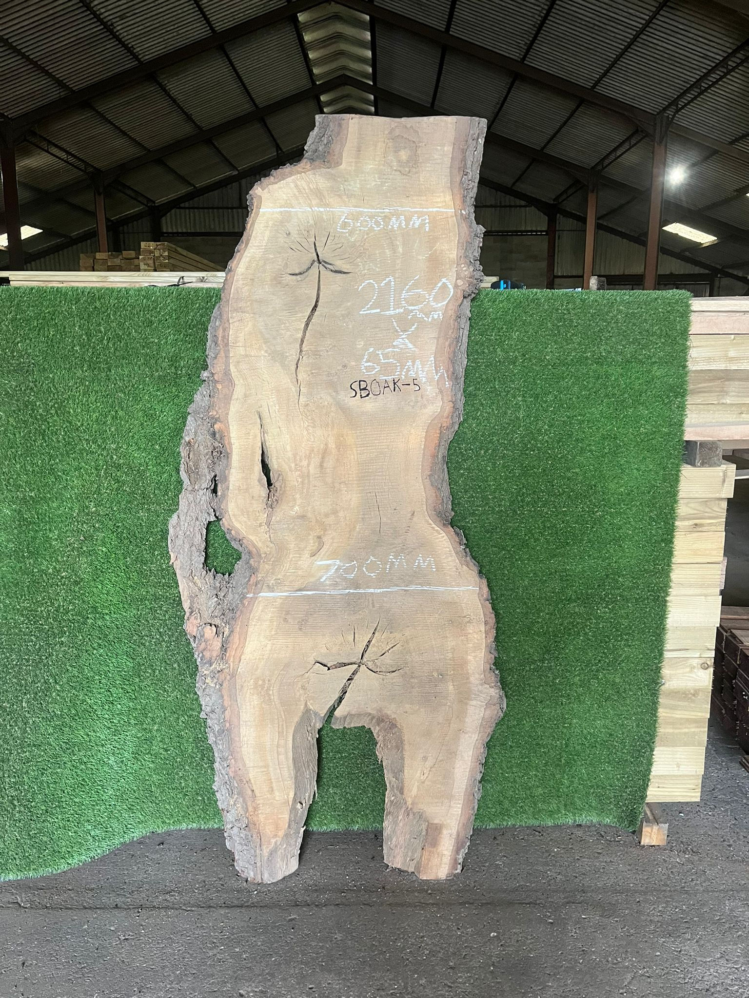 Live Edge Oak - #SBOAK5