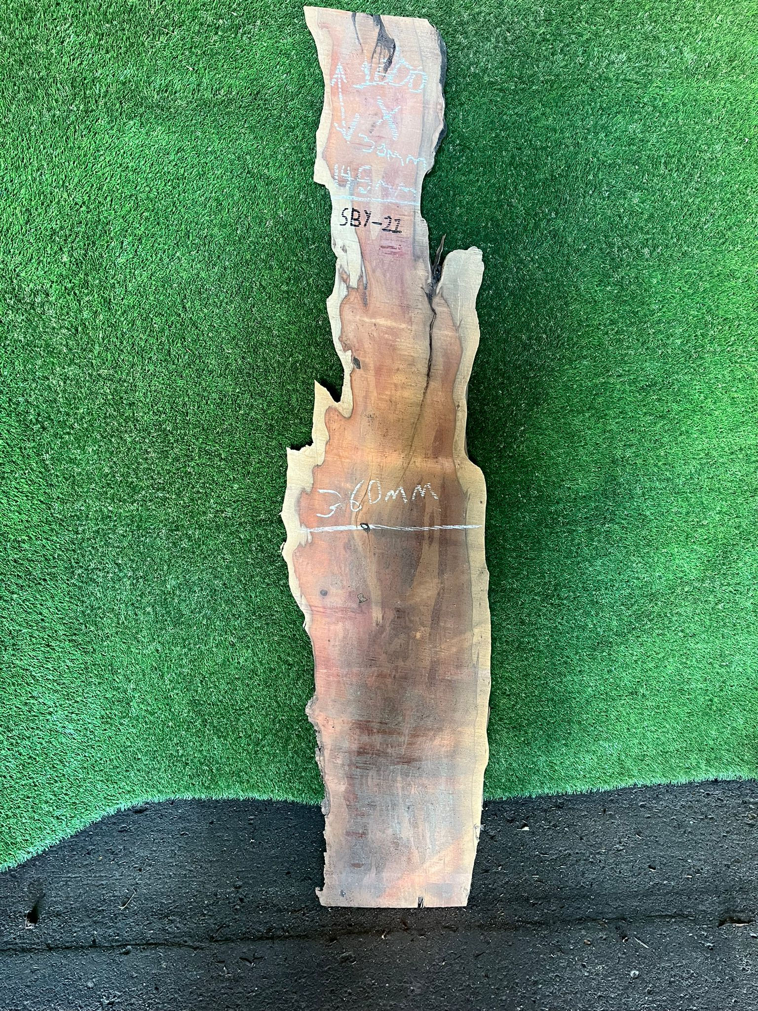 Live Edge Yew Slab - #SBY21