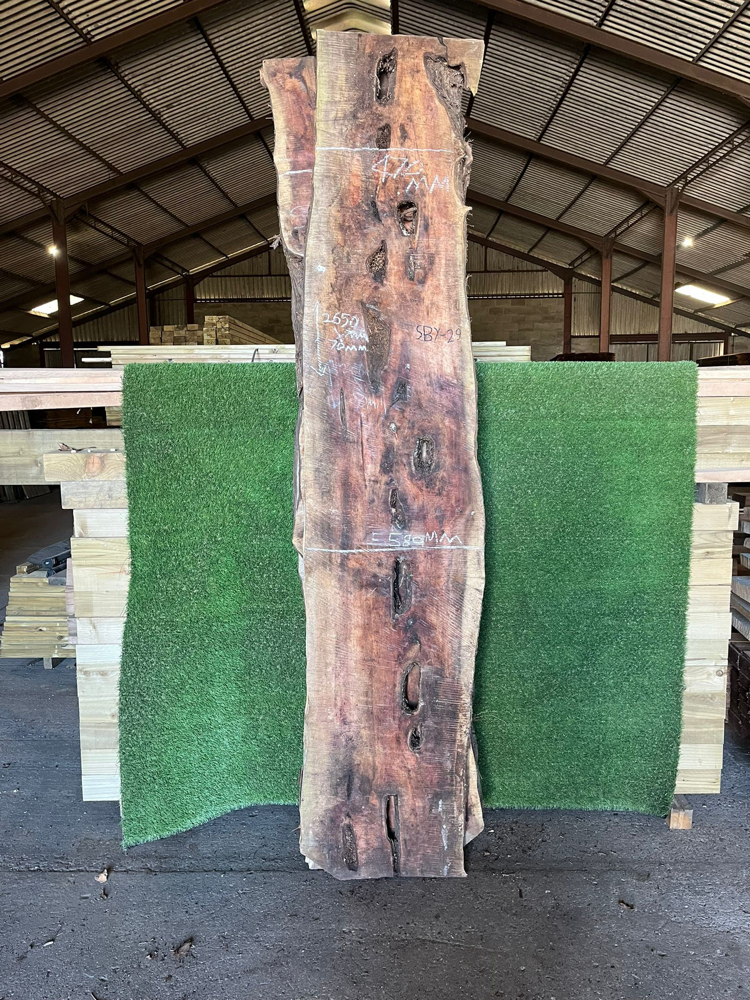 Live Edge Yew Slab - #SBY29