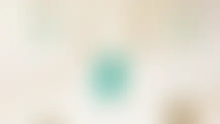 Q3/4 2025 Spotlight - Lindy’s