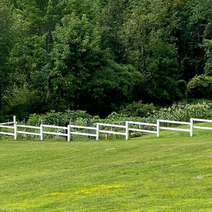 Lessons From My Father's Garden