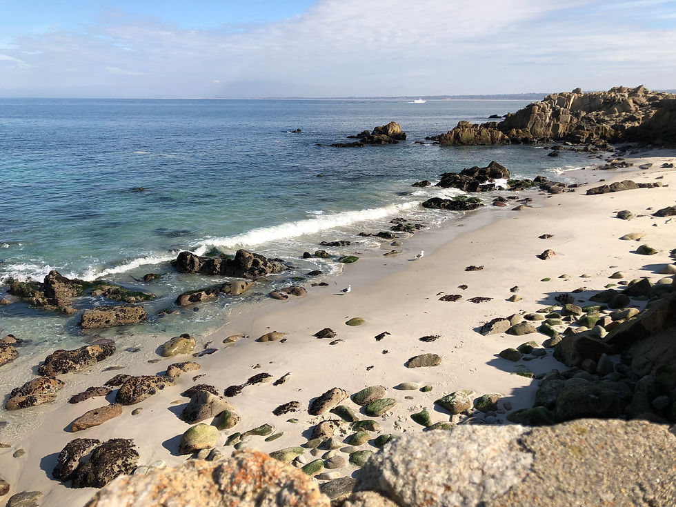 Beach photo of Monterey, California by Holly Manno