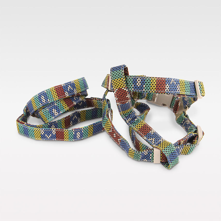 REGENBOGEN Hundegeschirr & Leine Set – buntes, bequemes Set für kleine Hunde, ideal für Spaziergänge und Abenteuer.