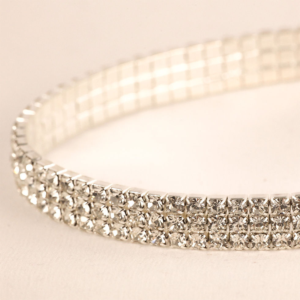 Detailansicht des GlamourStrass Halsschmucks für kleine Hunde in Silber mit funkelnden Strasssteinen.