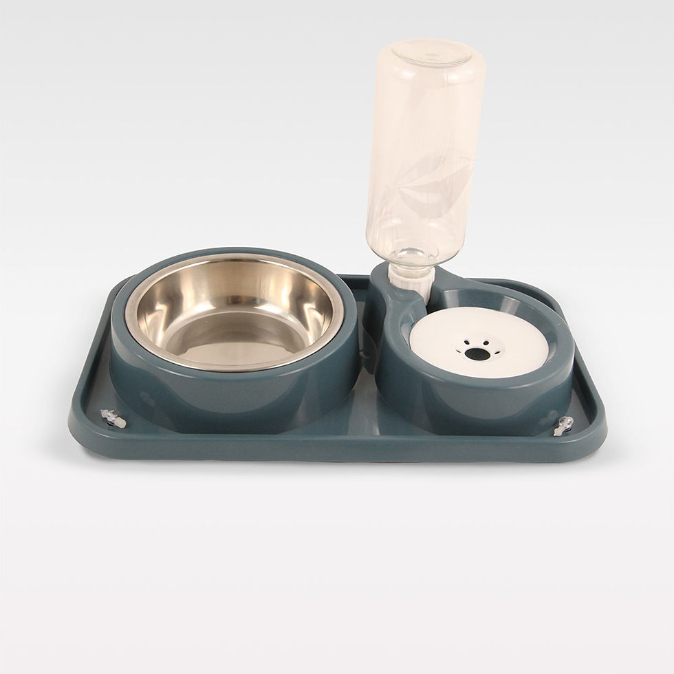 Doppel Fressnapf mit automatischer Wasserfüllung aus robustem Kunststoff in blau, ideal für kleine Hunde.
