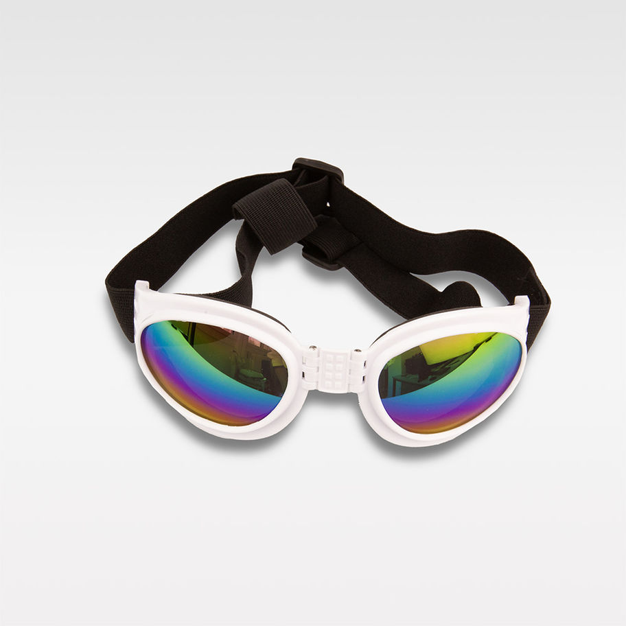 UV-Schutz Sonnenbrille für Französische Bulldogge in Weiss – schützt die Augen vor UV-Strahlen