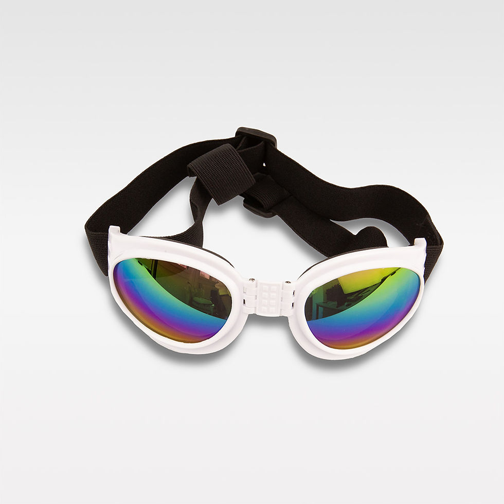 UV-Schutz Sonnenbrille für Französische Bulldogge in Weiss – schützt die Augen vor UV-Strahlen