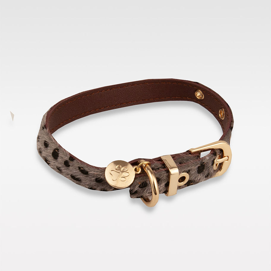 Graues Hundehalsband & Leine Set im Leopardmuster – verstellbar & bequem für kleine Hunde – vipdogswiss