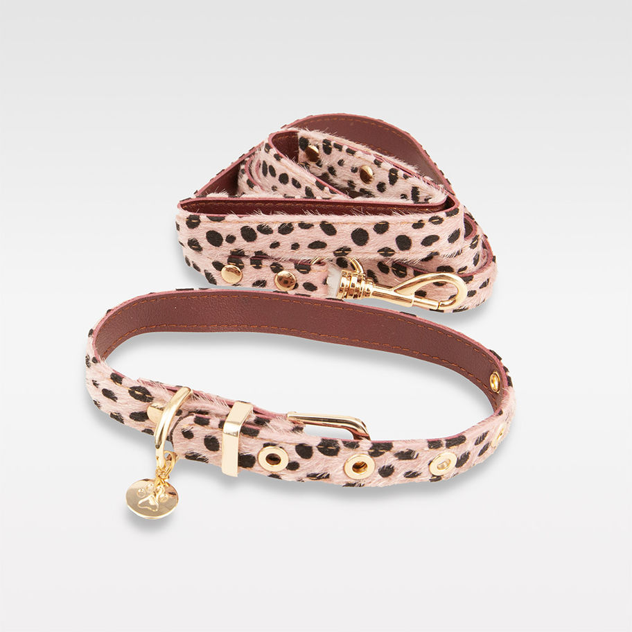 Rosarotes Hundehalsband & Leine Set im Leopardmuster – verstellbar & bequem für kleine Hunde – vipdogswiss