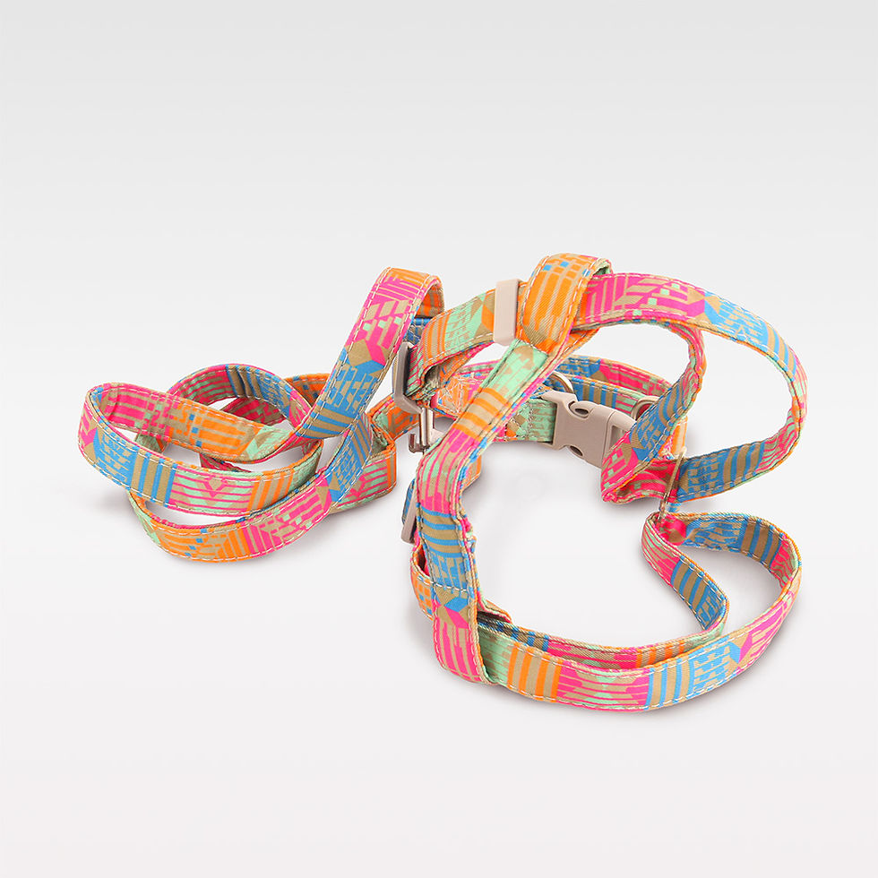 REGENBOGEN ROSA Hundegeschirr & Leine Set – buntes, bequemes Set für kleine Hunde, ideal für Spaziergänge und Abenteuer.