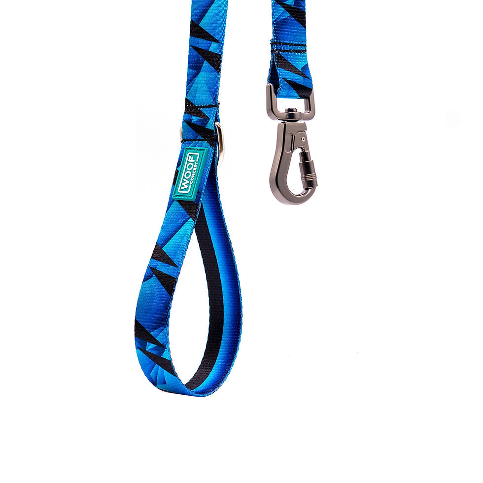 Thumbnail: Woof Concept - Apex 2 Leash