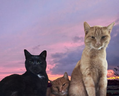 WhatsApp Image 2024-11-04 at 11.27.39 (3).jpeg