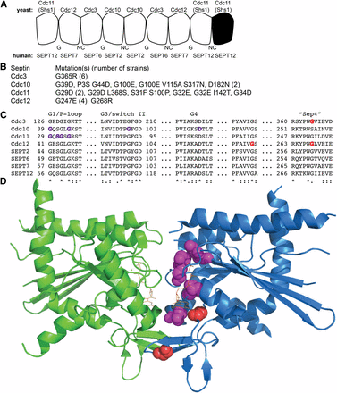 m_711fig1.gif
