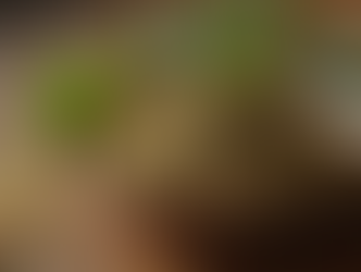 Exploring South Africa's Popular Love Spells