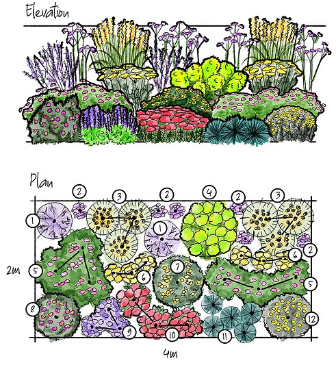 drought-tolerant-planting-scheme-web.jpg