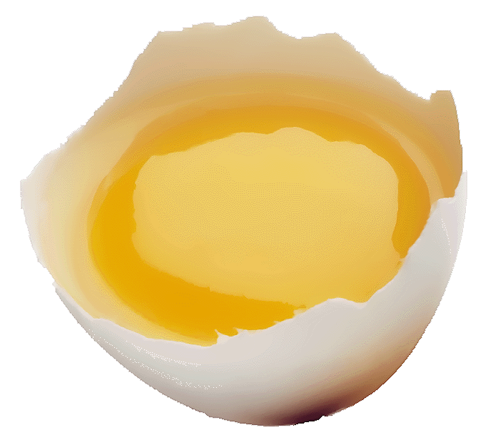 COMMENT LES GRAINES DE LIN EXTRUDÉES PEUVENT AMÉLIORER LA QUALITÉ DES POUSSINS
