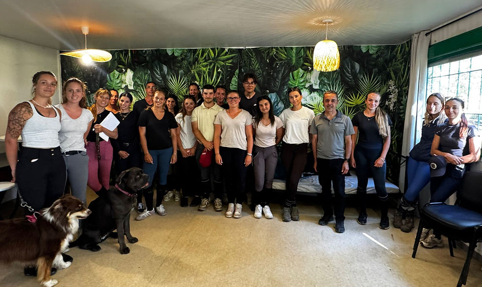 Formation Juge Dressage Club : dernière session de la campagne 2026 à Pierrelatte !