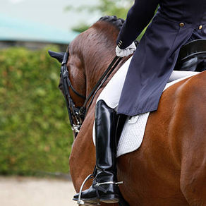 Devenez expert en RLM (Reprise Libre en Musique) : 3 modules de formation 100 % distanciels pour performer !