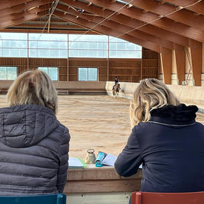 Formation Juge Club Dressage : La campagne 2026 continue, acte 2 à Lyon le 1er mars !