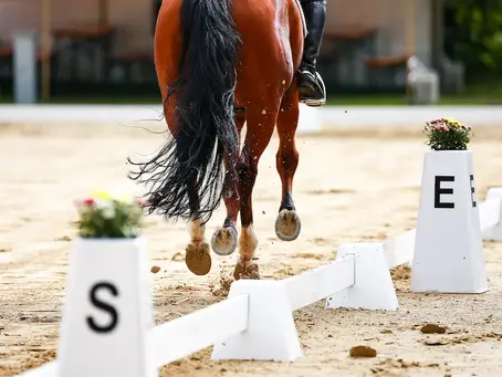 WINTER DRESSAGE by DEVOUCOUX : Clôture des engagements J-3 pour la deuxième étape à Bourg-en-Bresse (01) !