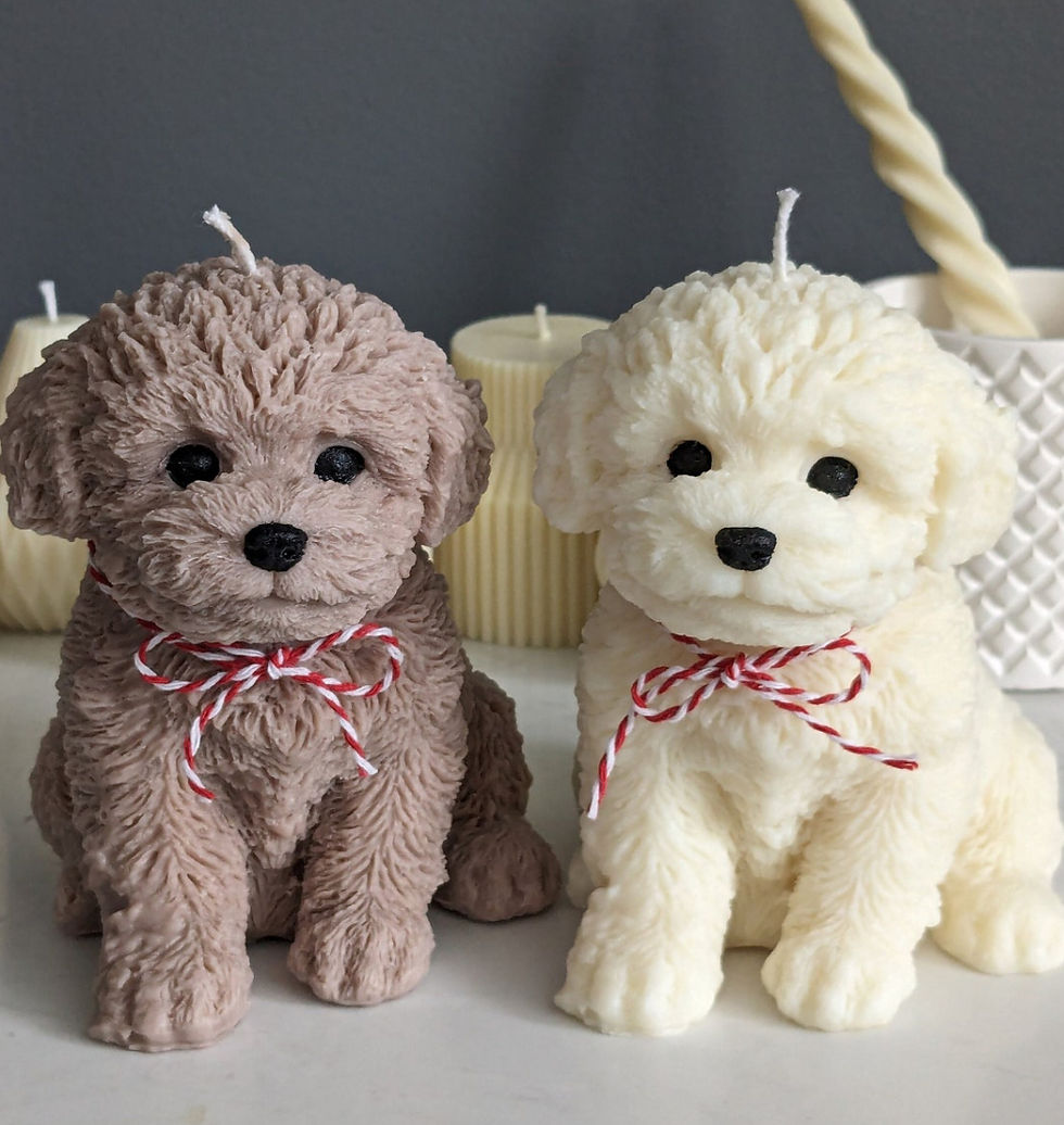 Miniatura: Puppy maxi 