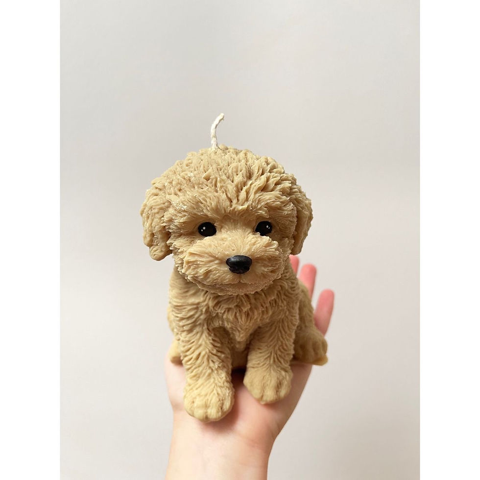 Miniatura: Puppy maxi 