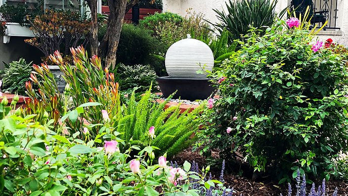 Final after fountain shot_edited_edited.jpg