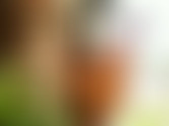 10 Red Flags When Booking a Boudoir Photographer