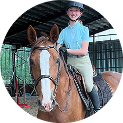 Ivory – a kind, confident and competition-proven mare.