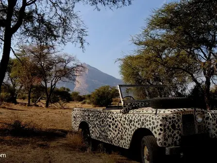 Jawai Leopard Safari: Inside India's Answer to the African Bush at ₹60,000 a Night