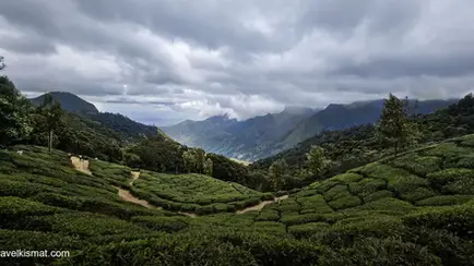 Araku Valley Trip Cost 2026: Complete Budget for 2, 3 and 5 Days
