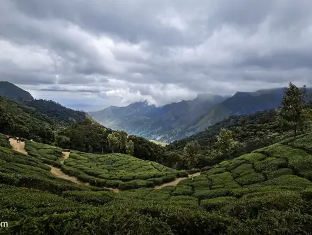 Araku Valley Trip Cost 2026: Complete Budget for 2, 3 and 5 Days