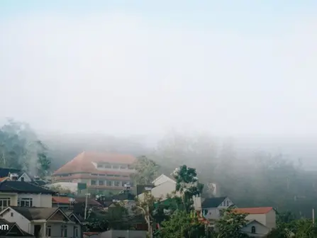 Jatinga: The Assam Village Where Birds Mysteriously Fall From the Sky