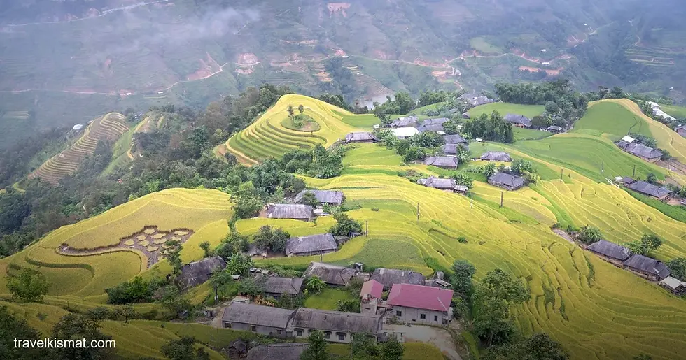 Staying With the Apatani Tribe in Ziro Valley: An Immersive Homestay Guide