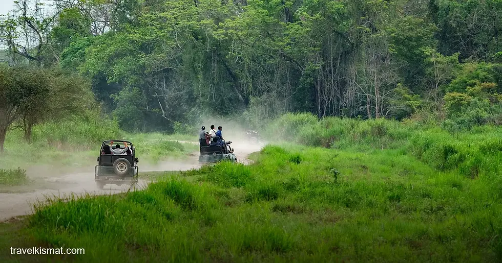 National Parks Open in Monsoon 2026: Where You Can Still Spot Wildlife in India