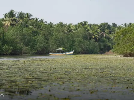 Best Time to Visit Sundarbans 2026: Weather, Seasons & How to Reach