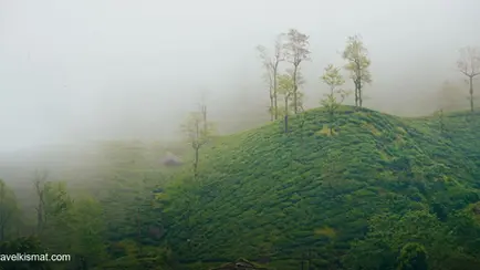 Best Time to Visit Araku Valley 2026: Weather, Seasons & How to Reach