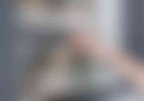 Convive dessert bowl