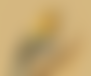Panchatantra Story : The Bird with Golden Droppings