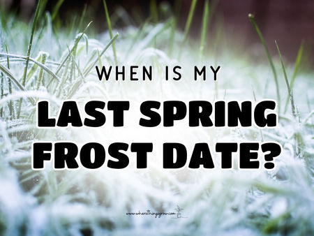 When is My Last Spring Frost Date?