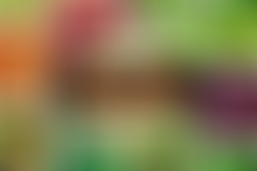 12 Best Vegetables for Your Fall Garden