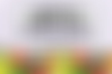 When to Start Seeds in Zone 8 Vegetables (Indoor & Outdoor Guide)