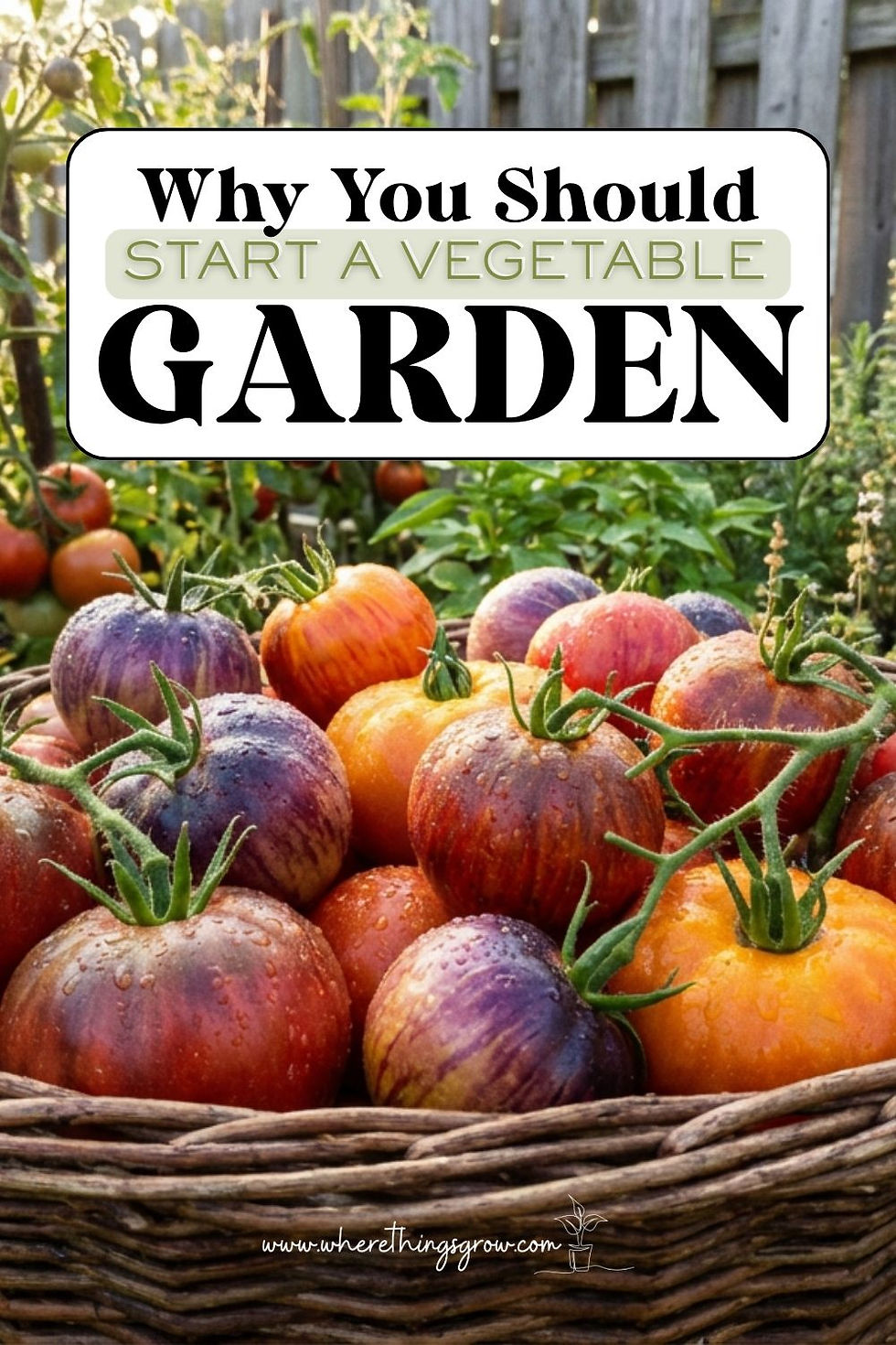 Why You Should Start a Vegetable Garden