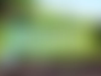 Top Gardening Resources for Beginners and Experienced Gardeners